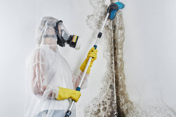 Best Residential Mold Removal  in Mcfarland, WI