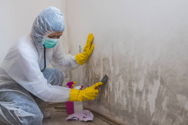 Best Mold Testing  in Mcfarland, WI