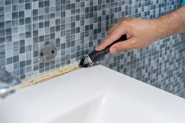 Best Attic Mold Removal  in Mcfarland, WI