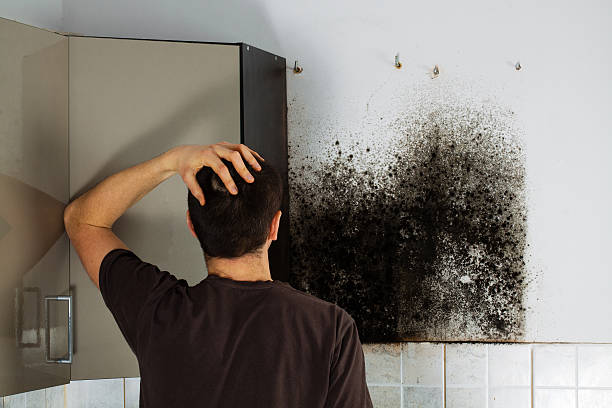 Best Crawl Space Mold Removal  in Mcfarland, WI