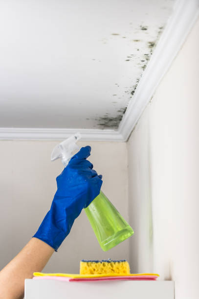 Best Certified Mold Removal  in Mcfarland, WI
